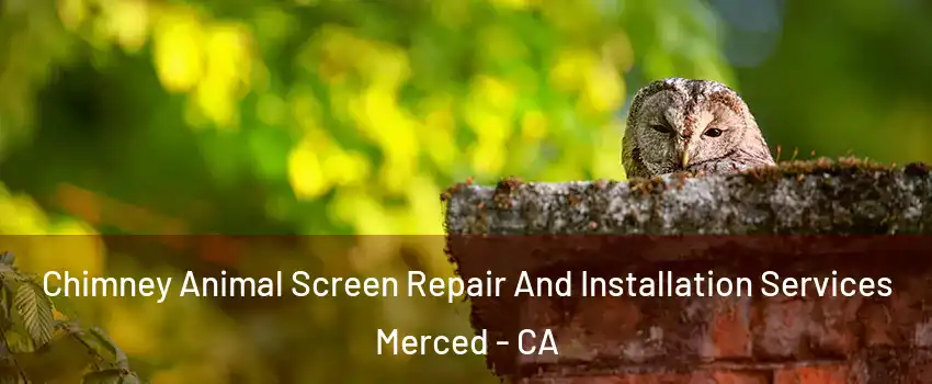  Chimney Animal Screen Repair And Installation Services Merced - CA