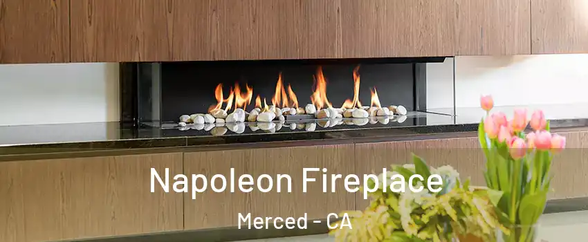  Napoleon Fireplace Merced - CA