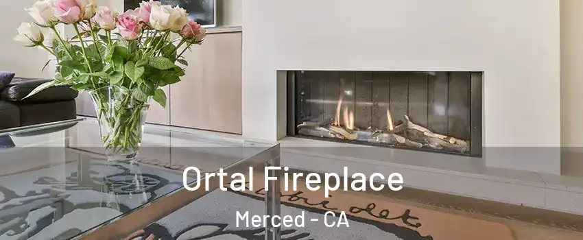  Ortal Fireplace Merced - CA